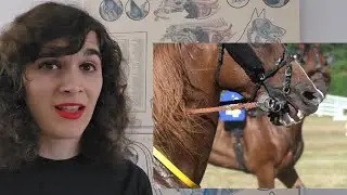 Here's the Bit: Is it humane to use bits in horses?