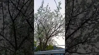 25 апреля 2024 г.