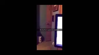 Random memes I found on the internet