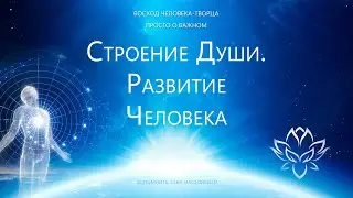 Строение Души.  Развитие человека