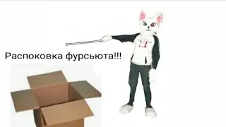 Распаковка фурсьюта Felix//Unboxing fursuit Felix//OwO Live video//Furry