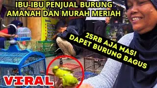 IBU-IBU PENJUAL BURUNG AMANAH DAN MURAH MERIAH! #kicaumania #kicau #burung #burungkicau #vlog #viral