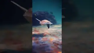 Relaxing video and music