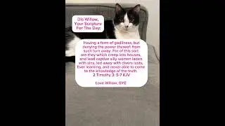 Still waiting on my Dr.Pepper 🙄 #3southerncatsandmomma