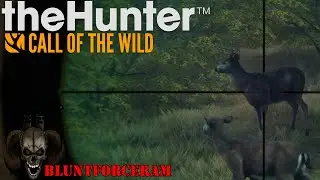 Sluggin Deer with the 12 gauge! The Hunter Call of The Wild