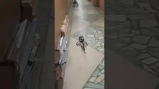 Аэросани на 3D Принтере, с импеллером, для безопасного обучения детей воздушному рулю