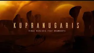 Vidas Bareikis ir 8 Kambarys - Kupranugaris