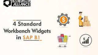 4 STANDARD WORKBENCH WIDGETS IN SAP BUSINESS ONE