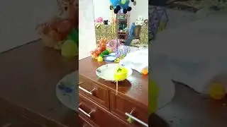 СМЕШНО МАТАЕТСЯ ХВОСТ ПОПУГАЯ😅 купание попугая, хвост никак не отвалится 
