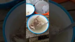 стрельба из лука Новкус-Артезиан