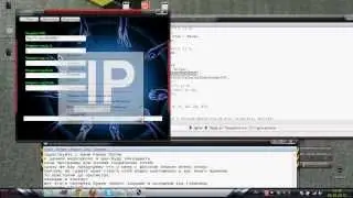новая программа для взлома социальных сетей 2013