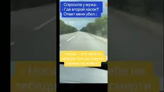 Носки не лебеди. 