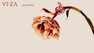 VIZA - Yesterday