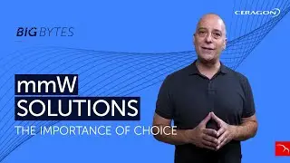 Big Bytes: Millimeter Wave Connectivity Tailored to Your Network Needs