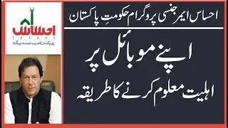 Ehsaas Emergency Cash Program me apnay andraaj ki tasdeeq karnay ka tareeqa