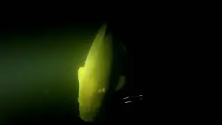Подводная охота.  Ночные съемки