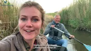 Vogels tellen in het hart van de Oostvaardersplassen | Vogelbescherming Nederland