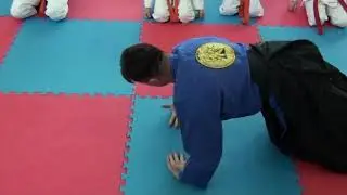 2011 Айкидо