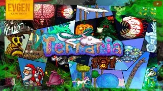 Мир на Эксперте ◉ Играем с подписчиками ➲ Terraria ◉ Террария ◉ Кооп
