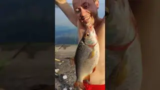 риболовля, пішла плотва. додому не хочеться #fishing #nature