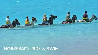 Horseback Ride N' Swim | Shore Excursion | NCL