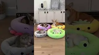They’re hanging on for dear life