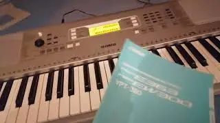 Instrumental vlog #2.Yamaha YPT-360