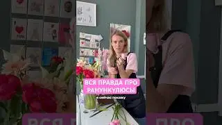ВСЯ ПРАВДА ПРО РАНУНКУЛЮСЫ 🔥 #цветы #flowers #diy #букет #florist #декор #обзор #дизайнинтерьера