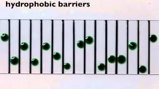 Intelligent Blobs Sort Themselves by Surface Tension