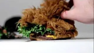 The Chewbacca Burger