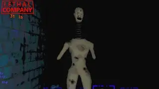 5-Star Voice Acting