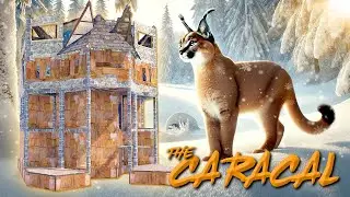 THE CARACAL • Budget Bunkered 2x1 • Solo/Duo Rust Base