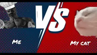 Me vs my cat