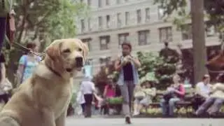 The Thing About Dogs