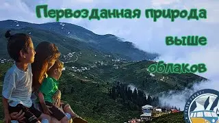 ГОМИС МТА  -  Удивительное место!