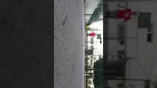 Kavga eden kürt veletler 🙀🙀🙀