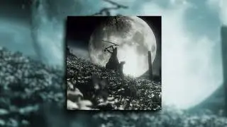 Rotting (prod.michael harrison)