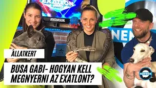Exatlon heti adag - Busa Gabi - HOGYAN KELL MEGNYERNI AZ EXATLONT?
