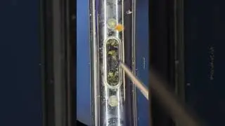 #iPhone charging port #cleaning under the #microscope #asmr #satisfying