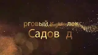 Концерт Севинч в Москве