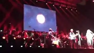 We The Lion  Symphonic  - Found Love