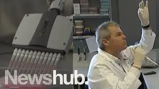 COVID-19 re-infection case reported: How experts are reacting | Newshub