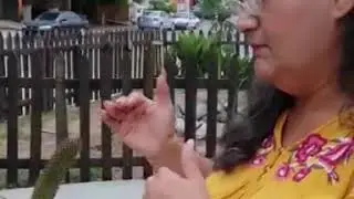 Un parque que se antoja “set fotográfico”