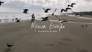 Mónica Giraldo - Pajaritos de oro - Video oficial