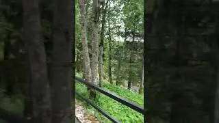 Рускеала