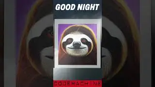 🌙Good Night Sloth😴
