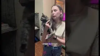Разделили ролик с новостями о котиках на 2 части. Смотрите 1 часть на канале🙏🏻