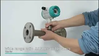Thermal Gas Mass Flow Meter #flowmeter #gauge #gasmeter #instrument #meter #sensor #industrial