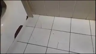 creepyspider