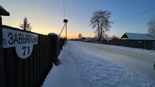 МНОГО СНЕГА ОПАСНО! / ЗАБОТИМСЯ О РАСТЕНИЯХ ЗИМОЙ